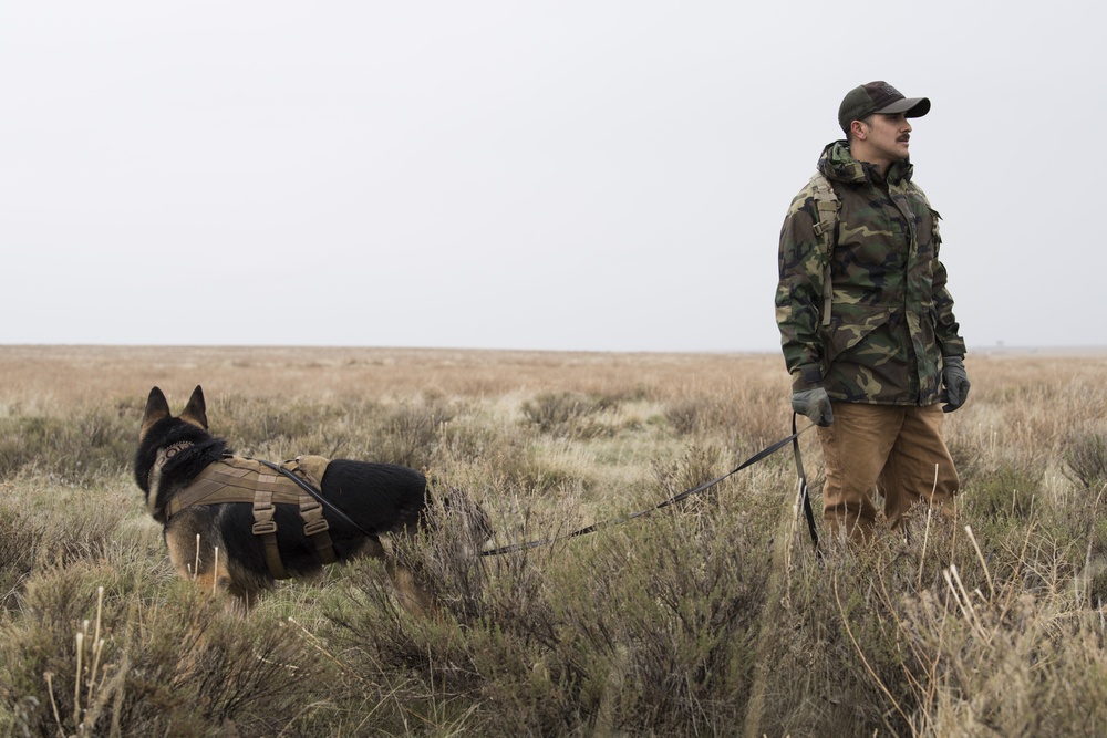 Military working dog and trainer participate in Gunfighter Flag exercise to enhance readiness