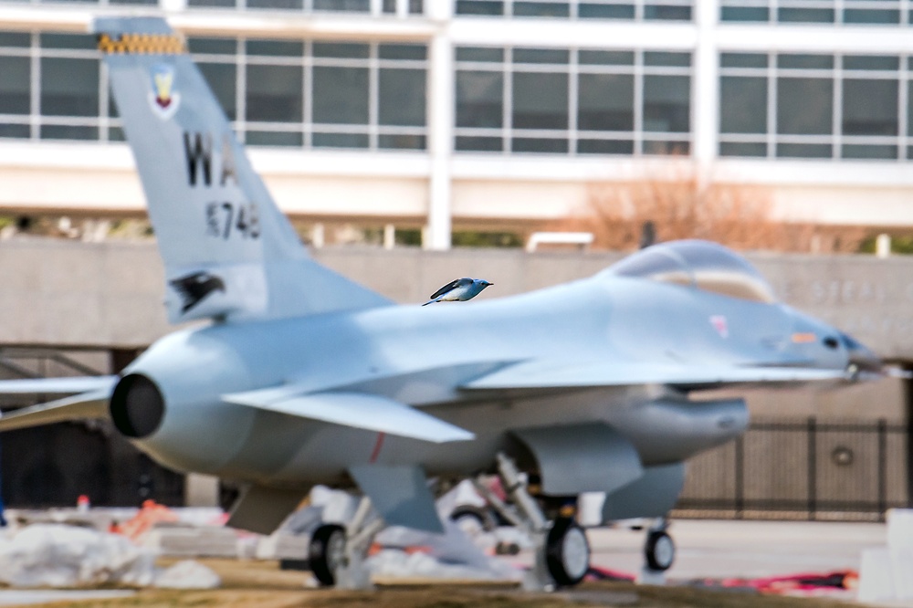 U.S. Air Force Academy Spring Scenics