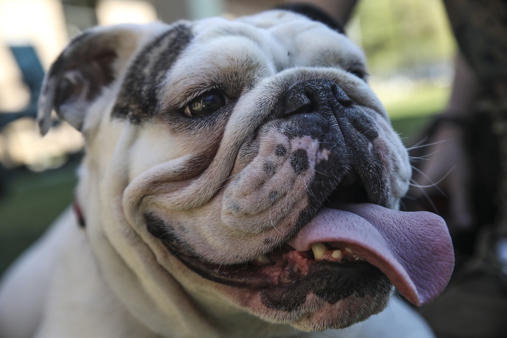 Opha May Laurel Bay Visit April 3, 2019