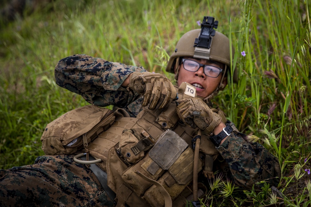 2/5 Marines conduct fire and maneuver drills