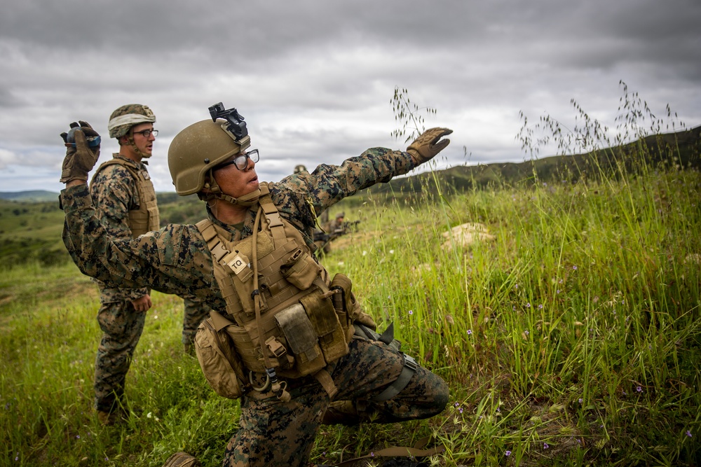 2/5 Marines conduct fire and maneuver drills