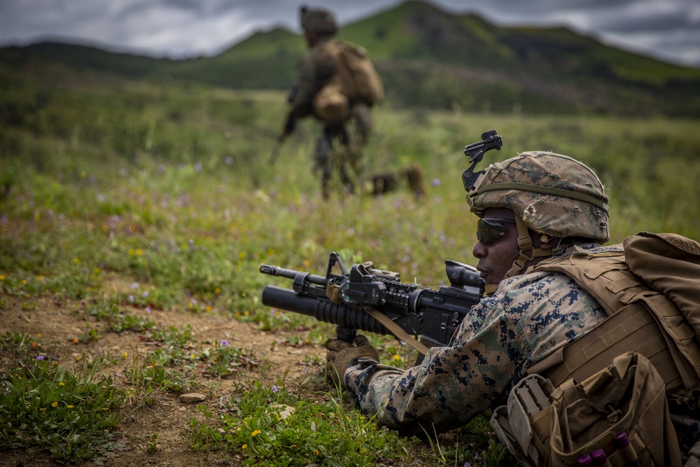 2/5 Marines conduct fire and maneuver drills