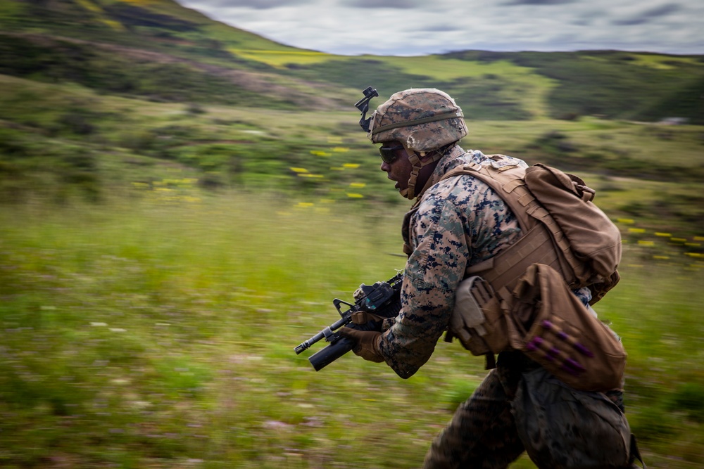 2/5 Marines conduct fire and maneuver drills