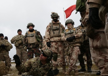 Hungarian Defense Force conducts first Joint Training Exercise with 1-4 IN