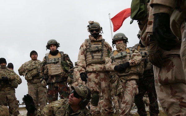 Hungarian Defense Force conducts first Joint Training Exercise with 1-4 IN