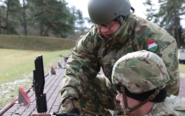 Hungarian Defense Force conducts first Joint Training Exercise with 1-4 IN