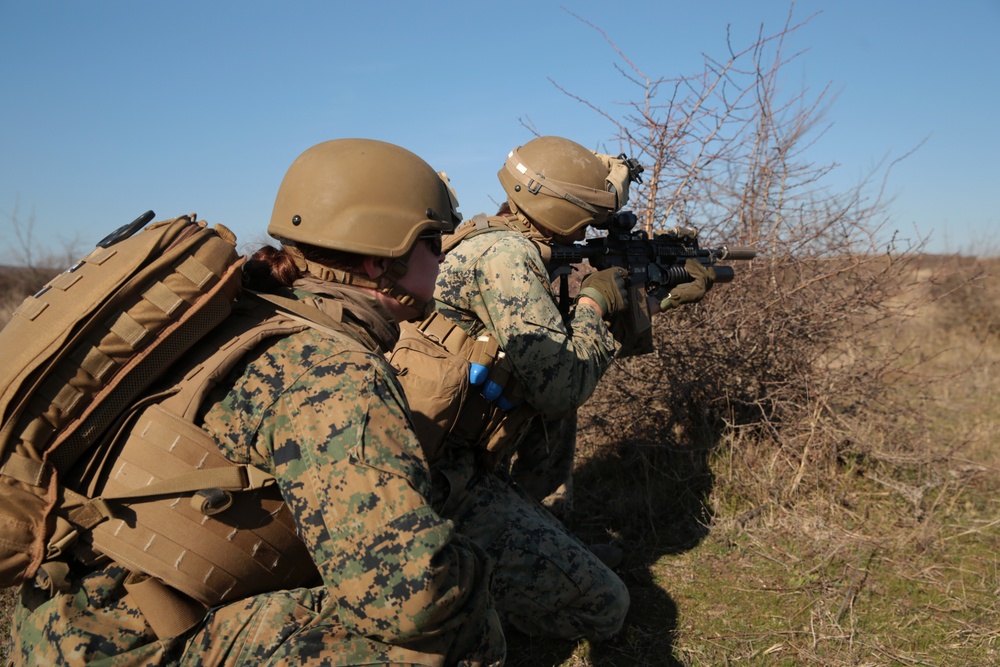 Platinum Eagle 19.1 - Squad Attacks