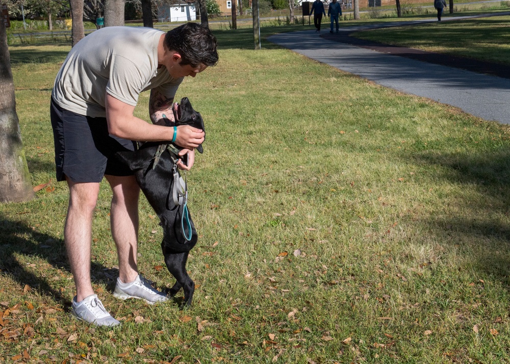 Hundreds of AGOW Airmen run for TACP cause