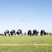 Navy Chiefs participate in a Goat Locker Challenge at Naval Station Norfolk