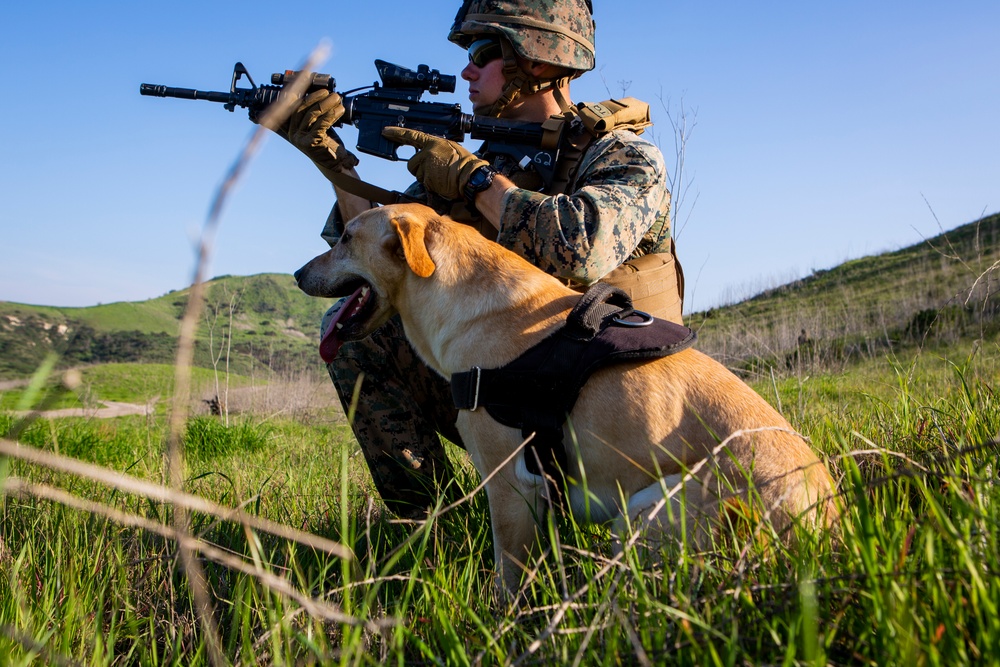 1st Law Enforcement Battalion conducts command post exercise