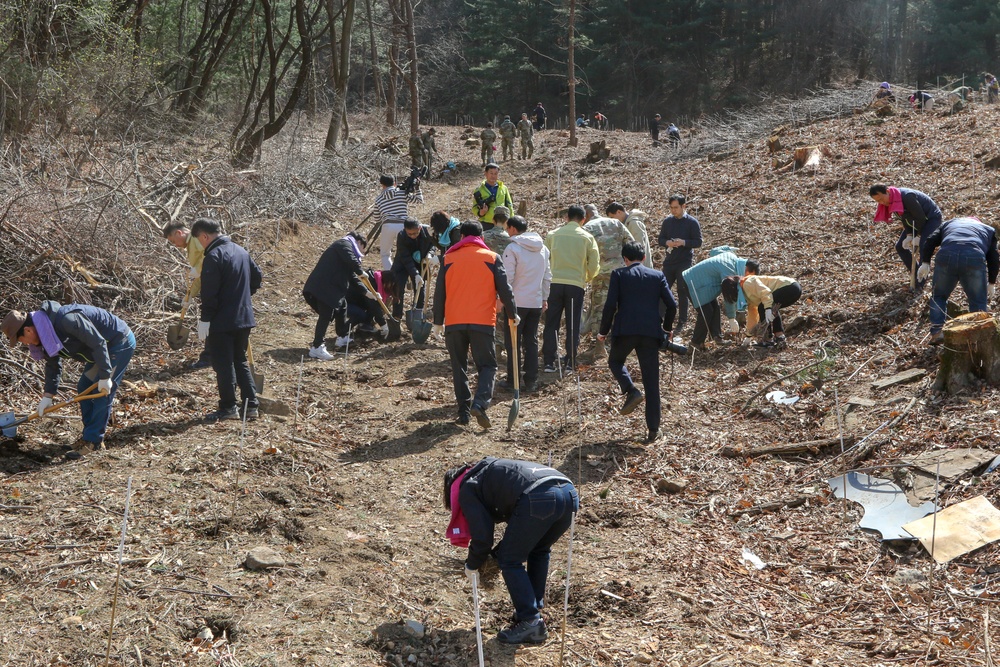 Arbor Day: U.S. Soldiers and DDC Citizens cultivate friendships