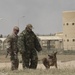 Military working dogs, handlers hone skills with competition