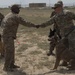 Military working dogs, handlers hone skills with competition