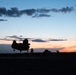 Coalition Forces: In The Air