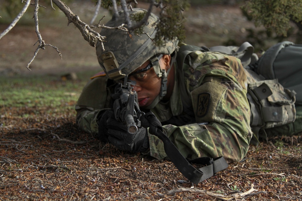 807th Medical Command (Deployment Support) Best Warrior Competition