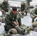Balikatan 2019: Bilateral Friendship Jumps in Subic Bay