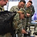 NATO exercise in Romania builds partnerships, medical readiness for Ramstein Airmen