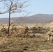 Alpha Company, 1-16th Infantry conducts team live-fire training