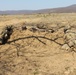 Alpha Company, 1-16th Infantry conducts team live-fire training