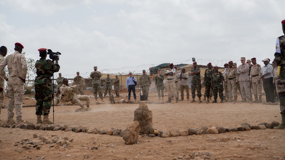 AFRICOM Commander visits Djiboutian RIB