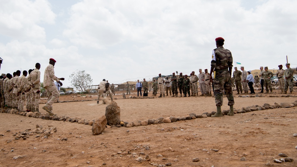 AFRICOM Commander visits Djiboutian RIB