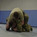 SFS Combatant Training