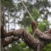 Mike Co. Confidence Course - April 4, 2019