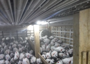 U.S. Coast Guard, partners, support Forum Fisheries Agency Operation Rai Balang 2019