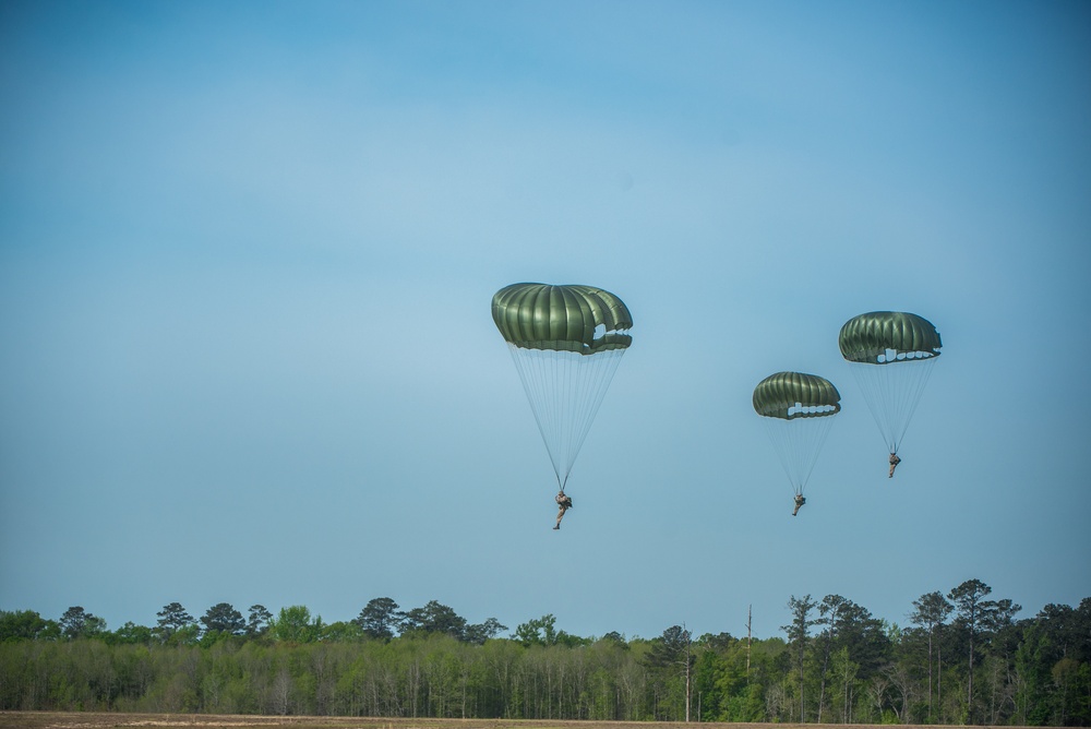 Liberty Jump Team WW II Jump Reenactment