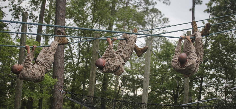 Mike Company Confidence Course