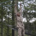 Mike Company Confidence Course