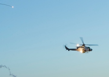 Urban Close Air Support WTI 2-19