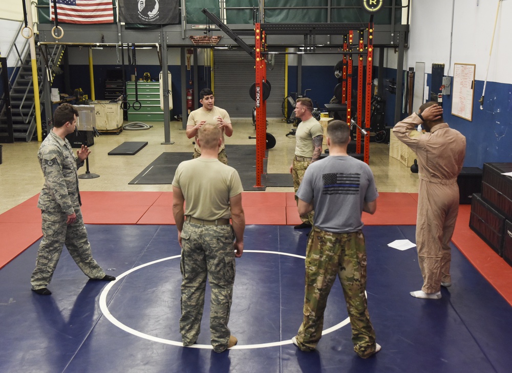 Airmen earn Air Force combatives skills instructor qualification: First in Air National Guard
