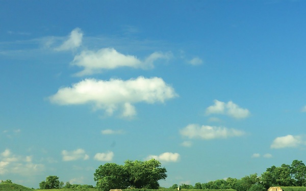 Blue Grass Chemical Activity