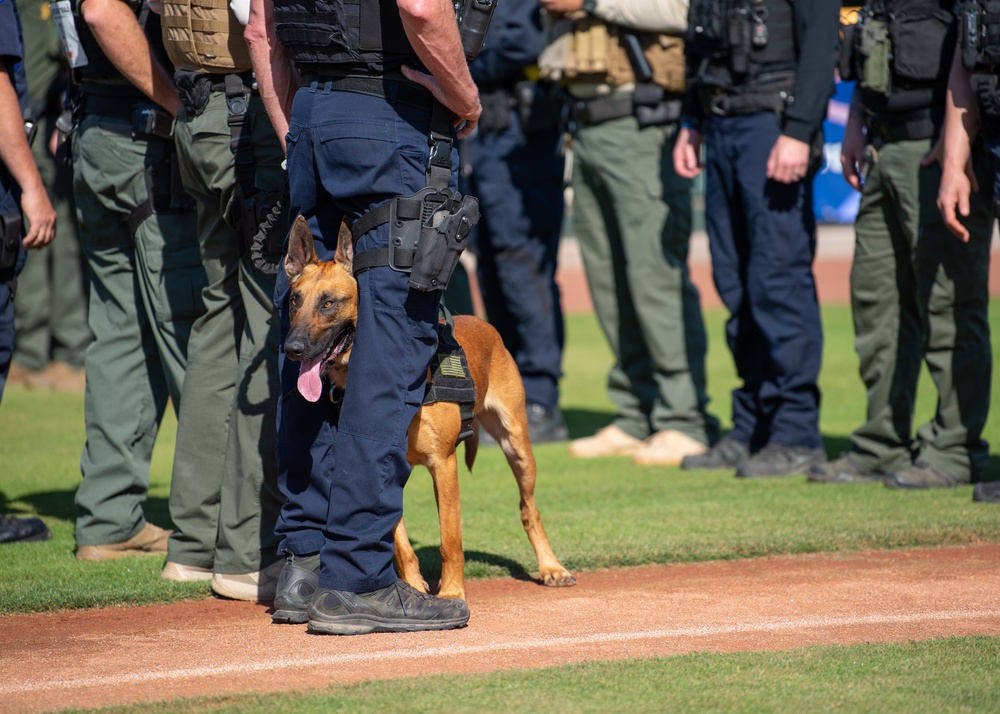Luke’s MWDs participate in 2019 Desert Dog Trials