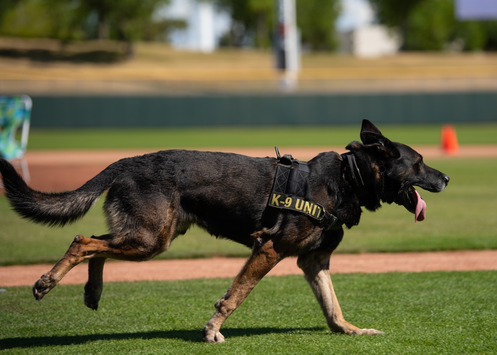 Luke’s MWDs participate in 2019 Desert Dog Trials