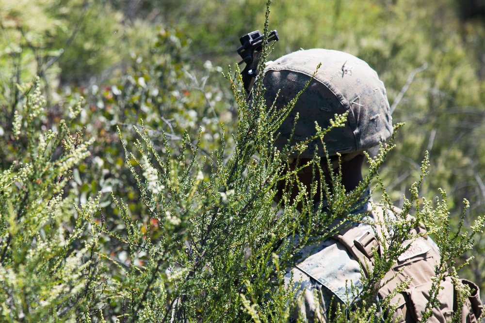 2nd Battalion, 5th Marine Regiment conducts live-fire drills