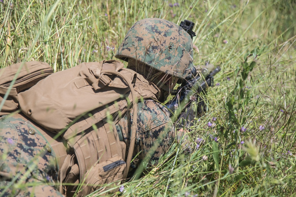 2nd Battalion, 5th Marine Regiment conducts live-fire drills