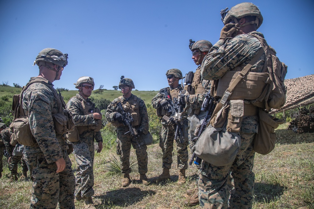 2nd Battalion, 5th Marine Regiment conducts live-fire drills