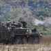 Balikatan 2019: Combined Arms Live-Fire Exercise