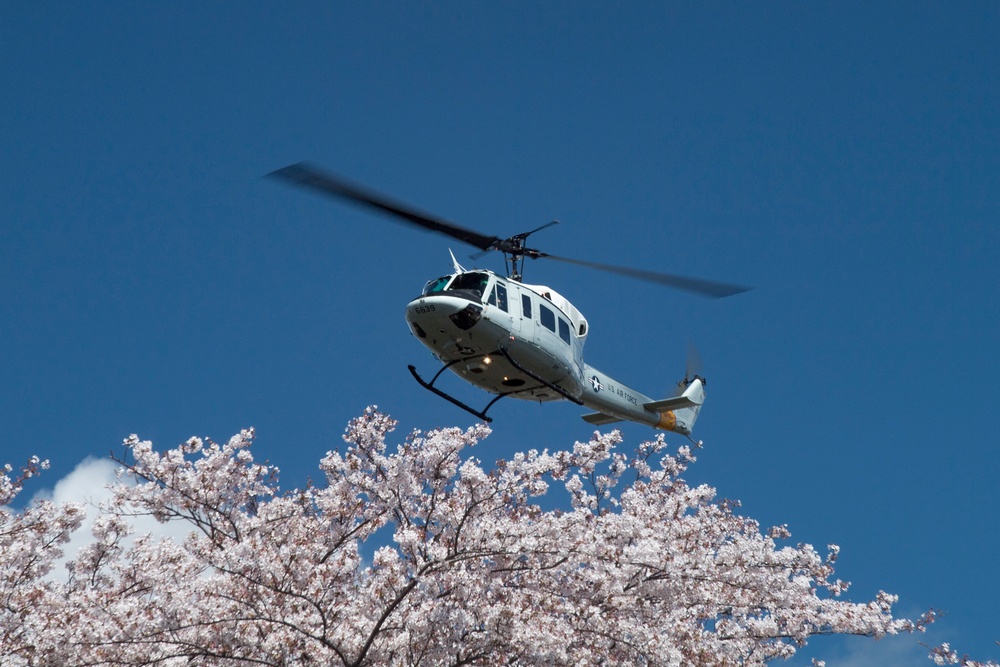 A Cherry Blossom Take Off