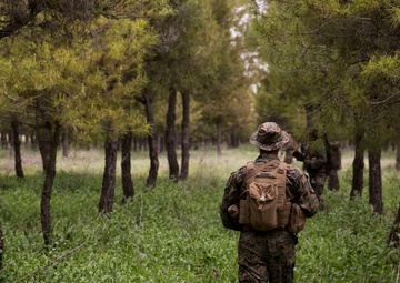 GCE rehearses patrol tactics