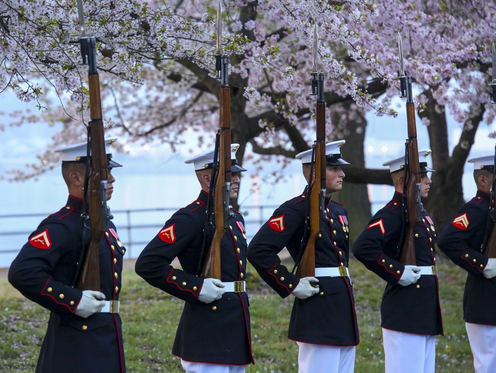 Silent Drill Platoon practices with District's iconic Cherry Blossoms as backdrop