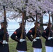 Silent Drill Platoon practices with District's iconic Cherry Blossoms as backdrop