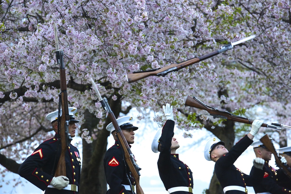 Silent Drill Platoon practices with District's iconic Cherry Blossoms as backdrop