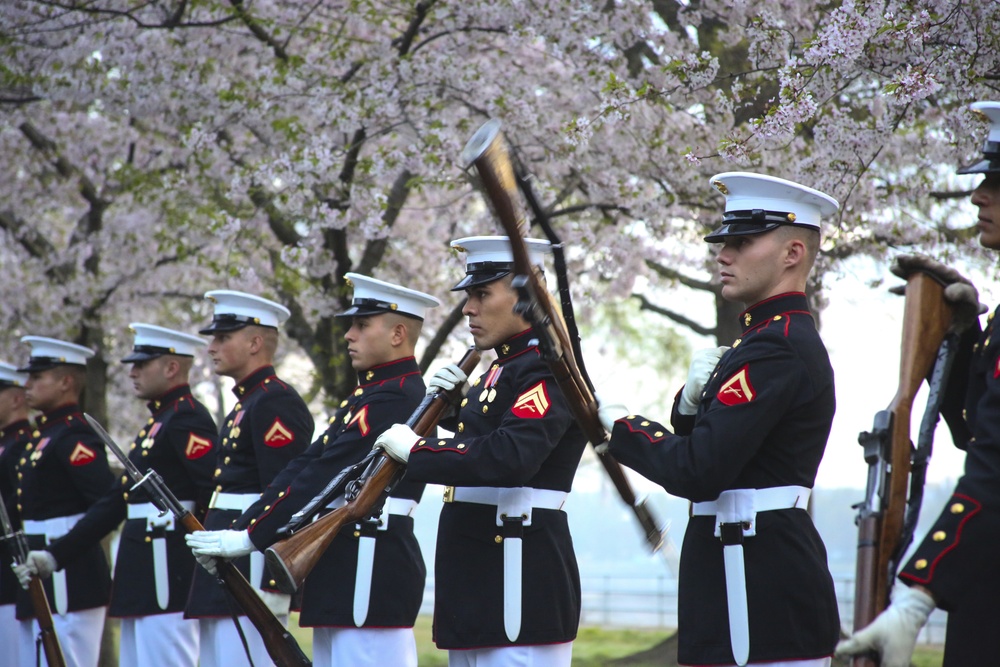 Silent Drill Platoon practices with District's iconic Cherry Blossoms as backdrop