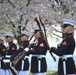 Silent Drill Platoon practices with District's iconic Cherry Blossoms as backdrop