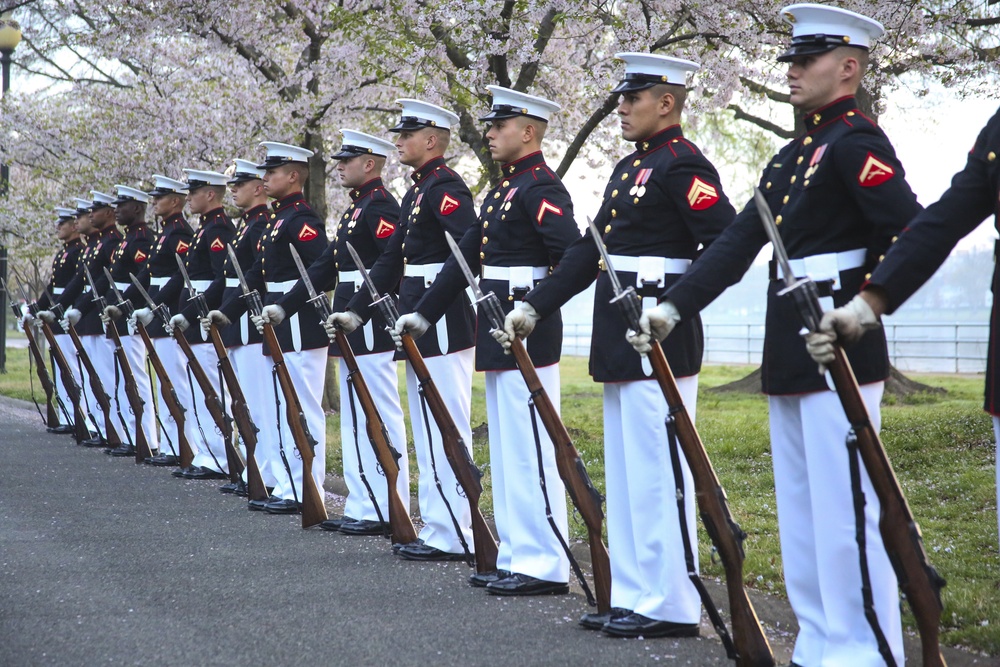 Silent Drill Platoon practices with District's iconic Cherry Blossoms as backdrop