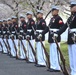 Silent Drill Platoon practices with District's iconic Cherry Blossoms as backdrop