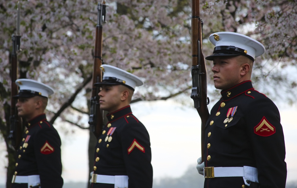 Silent Drill Platoon practices with District's iconic Cherry Blossoms as backdrop